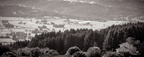 WAvandenBerg BW (1)